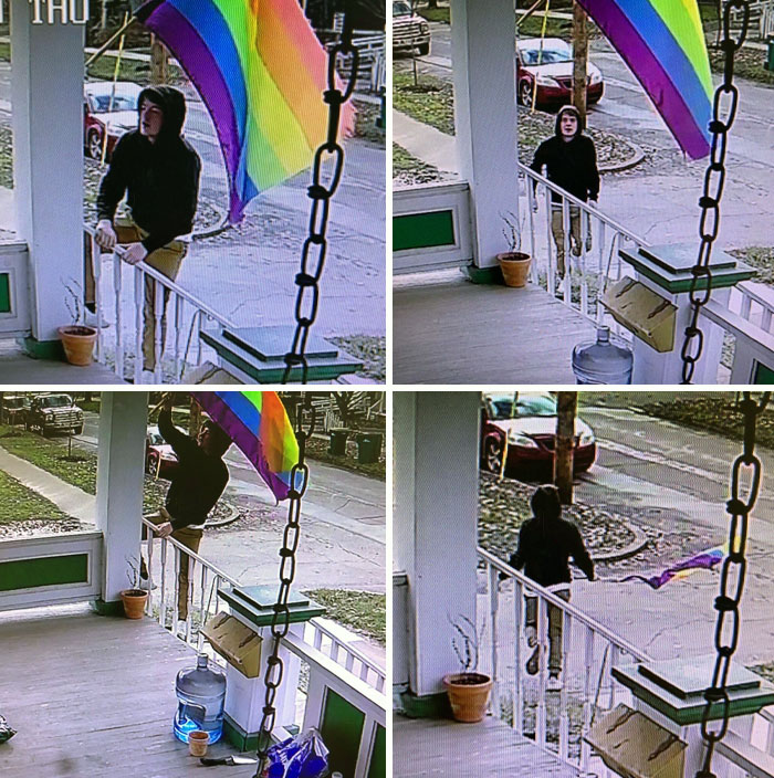 Este elegante individuo trepó a nuestro porche para robar nuestra bandera hoy y luego la tiró a un charco de barro.