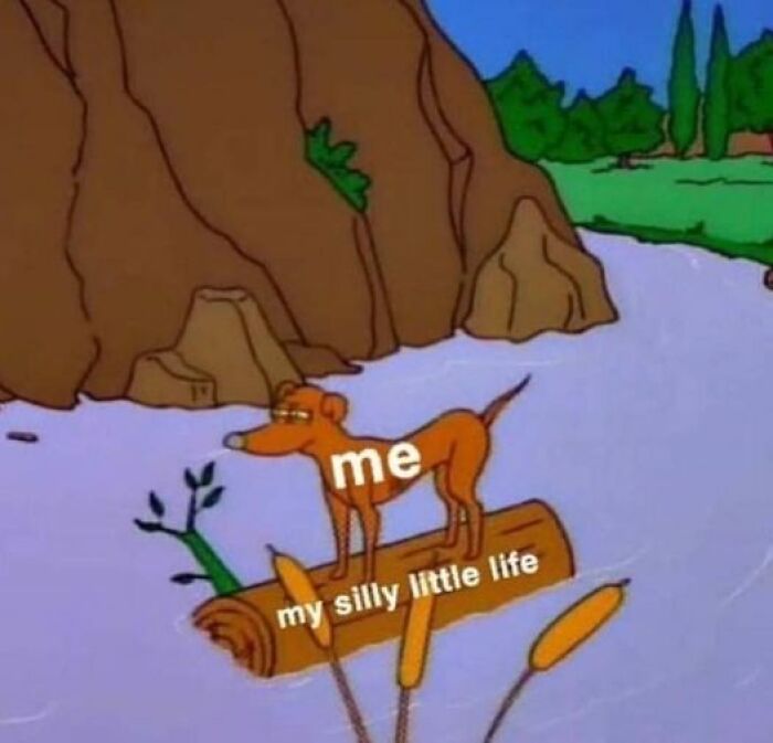 Have-Meme-To-Show-Funny-Pics