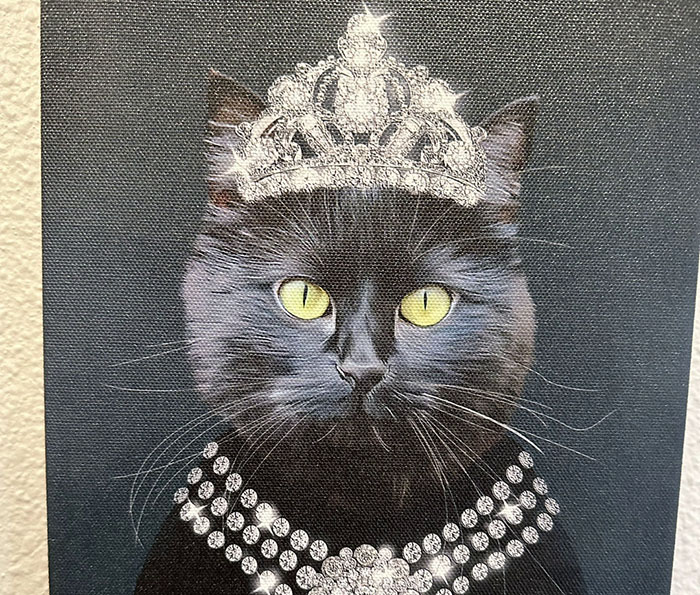 Vet Gets Bitten By A Cat During Appointment, Receives A Wholesomely Funny Apology Card From Her