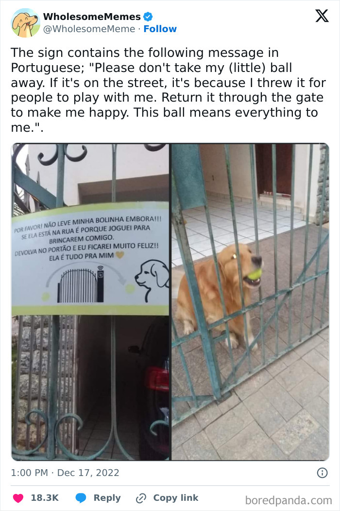 A wholesome meme showing a dog with a ball and a sign asking to return it, highlighting kindness and joy.