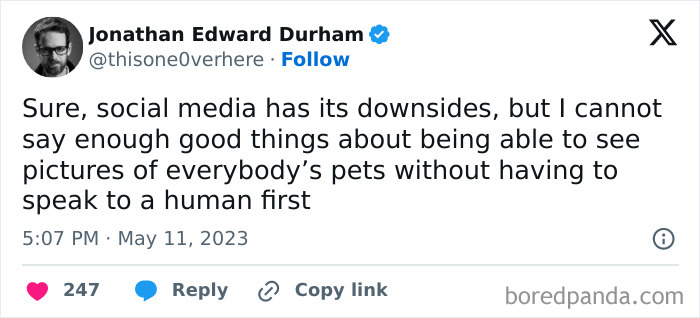 Tweet about the positive side of social media showing wholesome pet pictures, highlighting wholesome memes and posts.