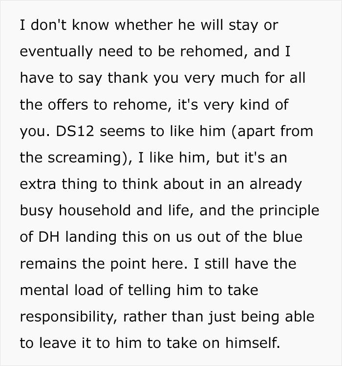 Husband Makes A Selfish Decision To Bring A Kitten Home Without Considering His Family's Feelings