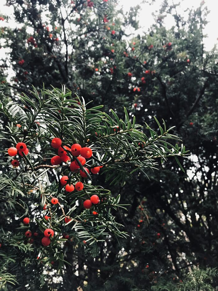 50 Times People Tasted Something Unusual Whether On Purpose Or By Accident