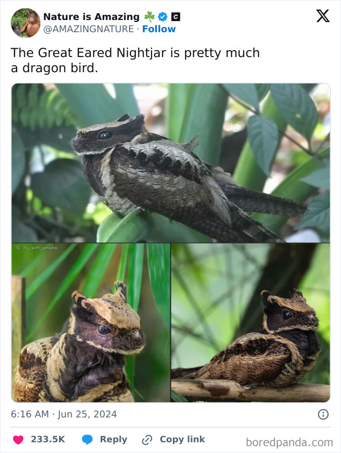 Funny-Random-Memes-Thehilarious-Ted