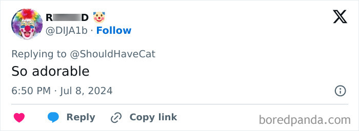Magical Cat Has Condition That Makes His Fur Look Like A Galaxy Of Stars, People Are Obsessed Magical Cat Has Condition That Makes His Fur Look Like A Galaxy Of Stars, People Are Obsessed