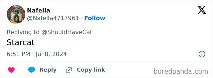 Magical Cat Has Condition That Makes His Fur Look Like A Galaxy Of Stars, People Are Obsessed Magical Cat Has Condition That Makes His Fur Look Like A Galaxy Of Stars, People Are Obsessed