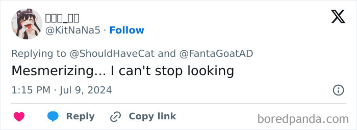 Magical Cat Has Condition That Makes His Fur Look Like A Galaxy Of Stars, People Are Obsessed Magical Cat Has Condition That Makes His Fur Look Like A Galaxy Of Stars, People Are Obsessed