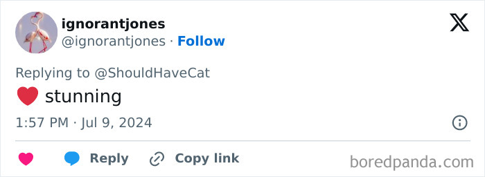 Magical Cat Has Condition That Makes His Fur Look Like A Galaxy Of Stars, People Are Obsessed Magical Cat Has Condition That Makes His Fur Look Like A Galaxy Of Stars, People Are Obsessed