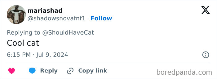 Magical Cat Has Condition That Makes His Fur Look Like A Galaxy Of Stars, People Are Obsessed Magical Cat Has Condition That Makes His Fur Look Like A Galaxy Of Stars, People Are Obsessed