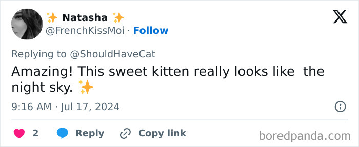 Magical Cat Has Condition That Makes His Fur Look Like A Galaxy Of Stars, People Are Obsessed Magical Cat Has Condition That Makes His Fur Look Like A Galaxy Of Stars, People Are Obsessed