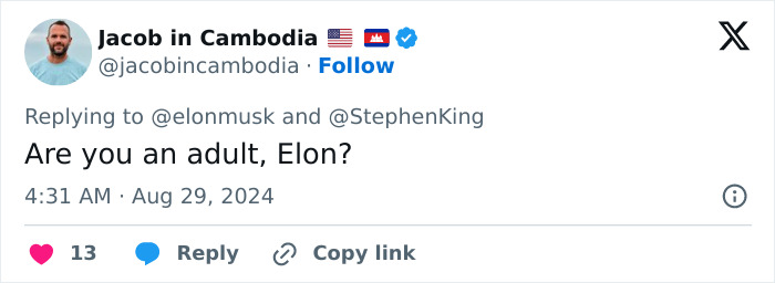Tweet questioning Elon Musk's maturity after AI-generated image involving Stephen King.