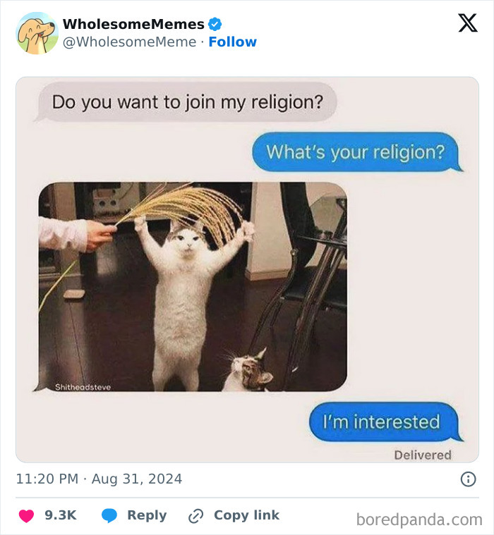 Funny-Wholesome-Memes