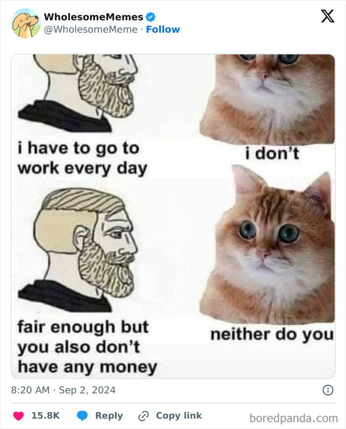 Funny-Wholesome-Memes