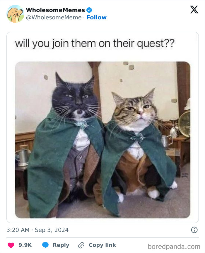 Funny-Wholesome-Memes