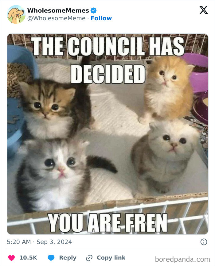 Funny-Wholesome-Memes