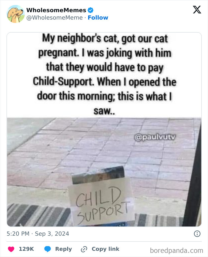 Funny-Wholesome-Memes