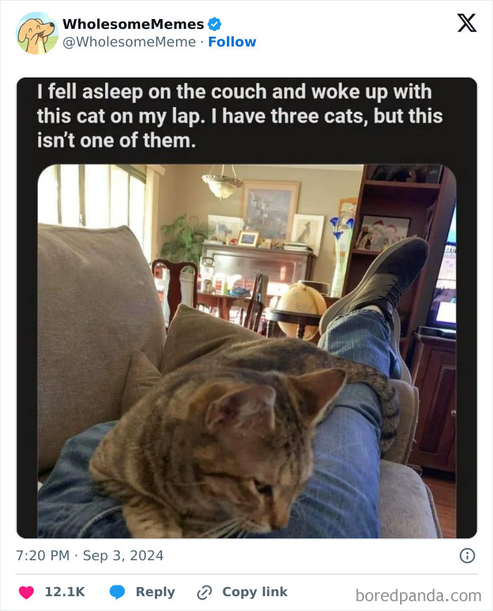 Funny-Wholesome-Memes