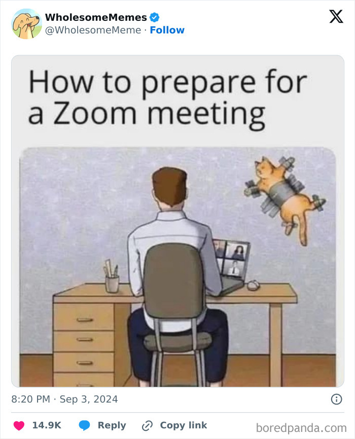 Funny-Wholesome-Memes