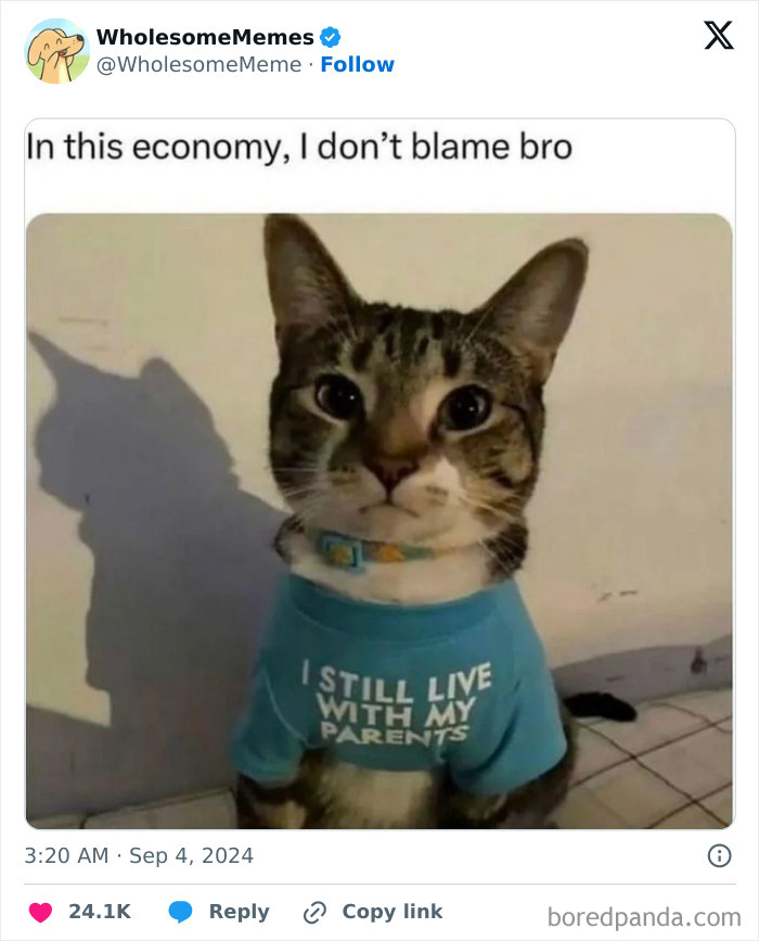 Funny-Wholesome-Memes