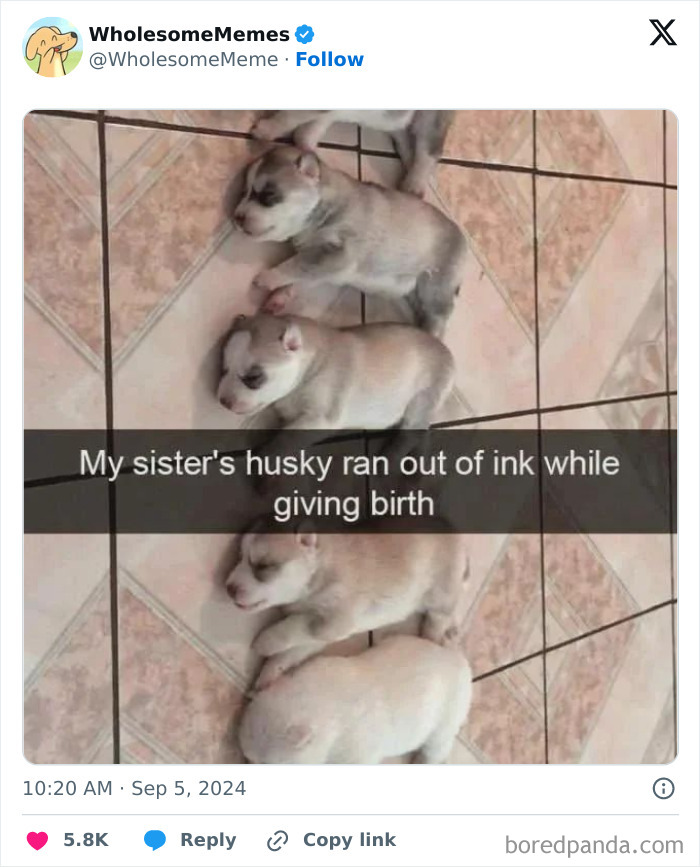 Funny-Wholesome-Memes