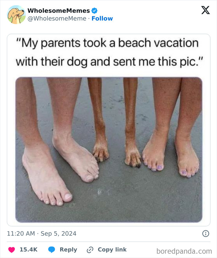 Funny-Wholesome-Memes