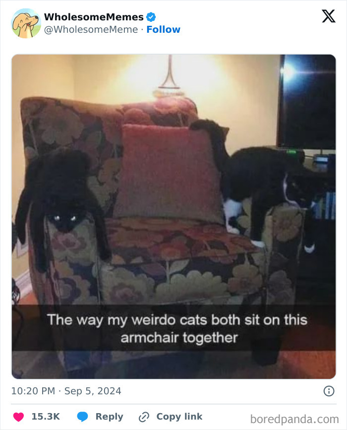 Funny-Wholesome-Memes