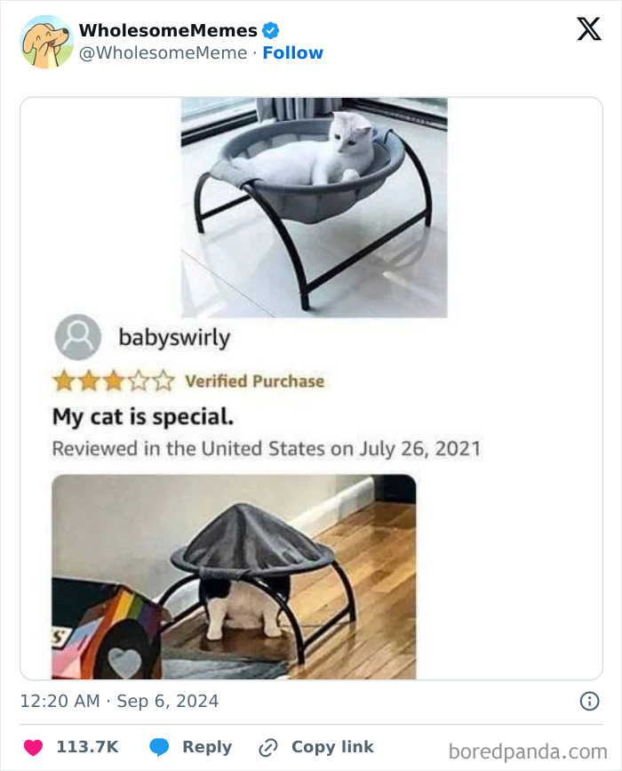 Funny-Wholesome-Memes