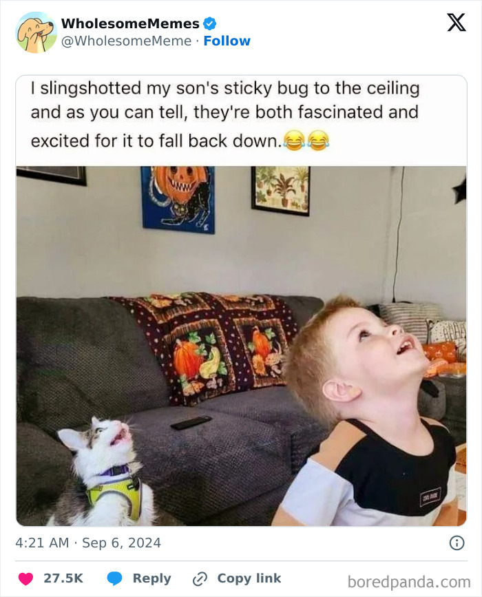 Funny-Wholesome-Memes