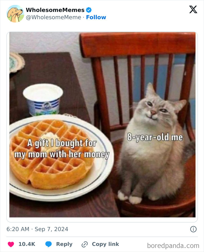 Funny-Wholesome-Memes