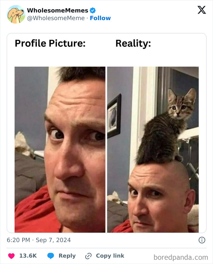 Funny-Wholesome-Memes