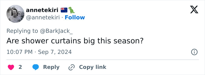 &ldquo;Expensive Mosquito Net&rdquo;: Rihanna&rsquo;s Mesh Dress At New York Fashion Week Sparks Funny Comparisons