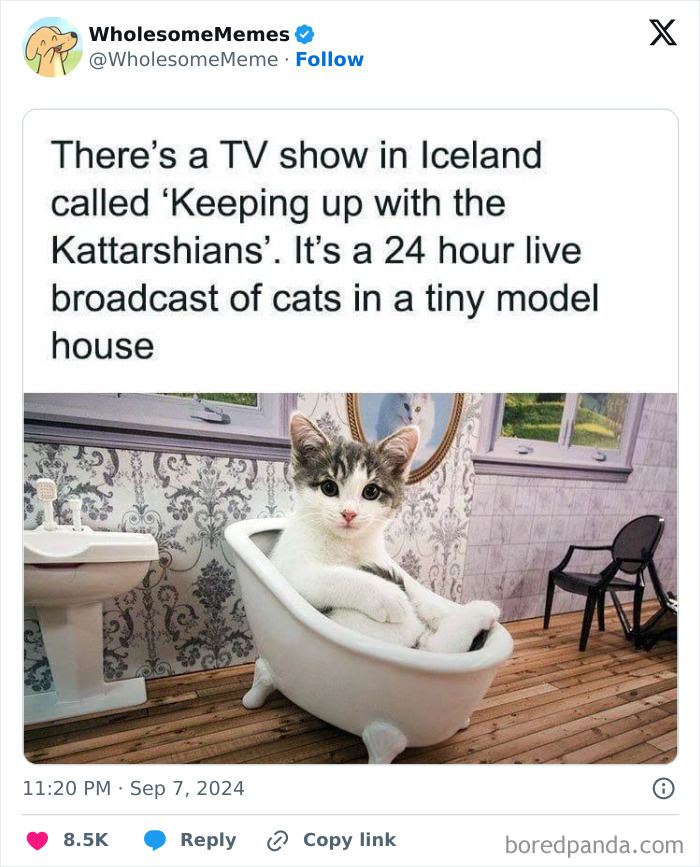 Funny-Wholesome-Memes