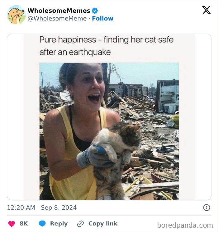 Funny-Wholesome-Memes