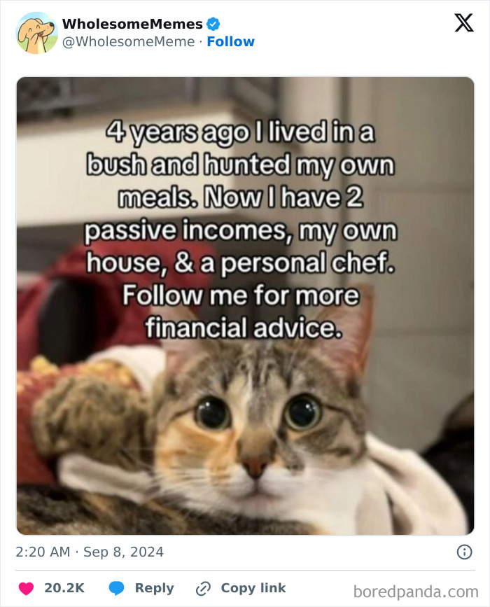 Funny-Wholesome-Memes