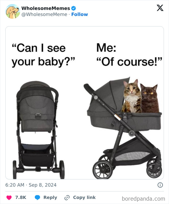 Funny-Wholesome-Memes