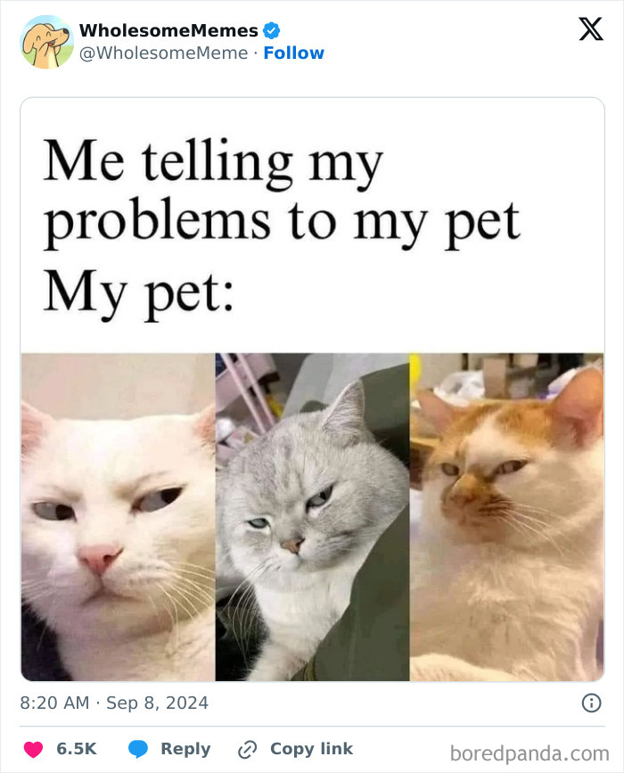 Funny-Wholesome-Memes