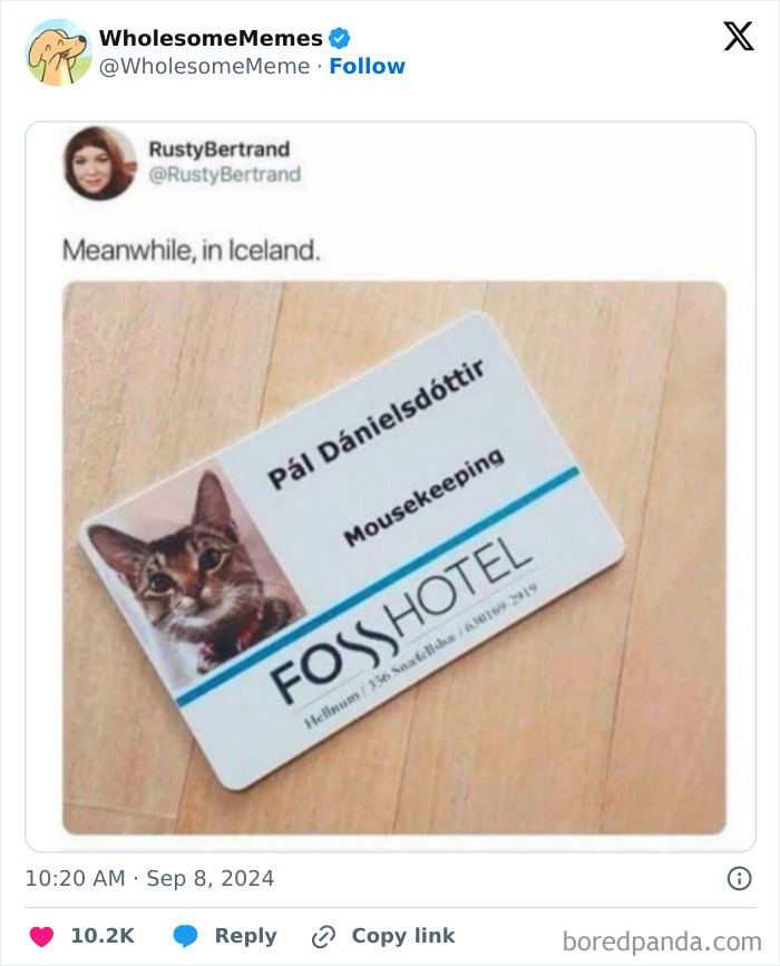 Funny-Wholesome-Memes