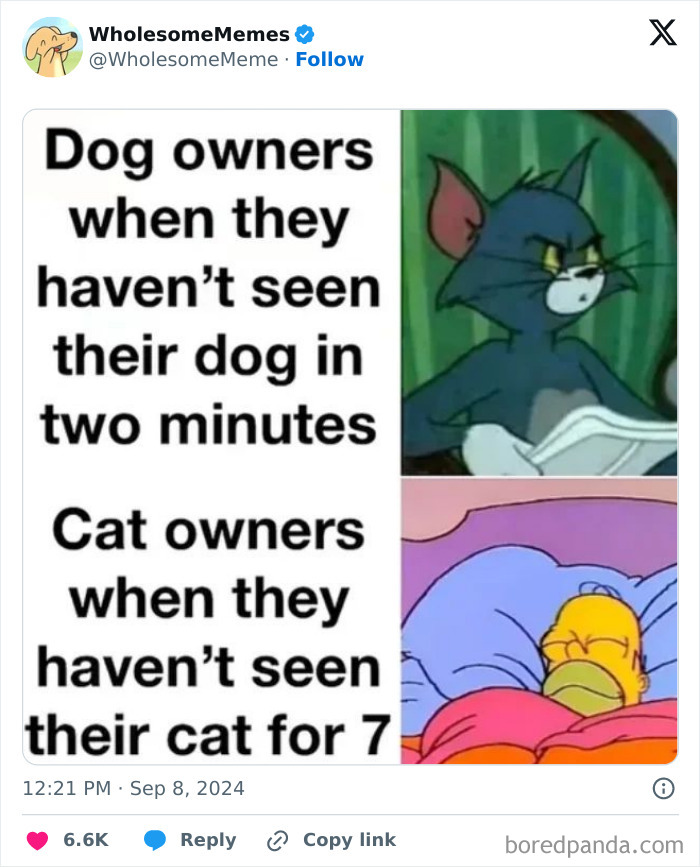 Funny-Wholesome-Memes