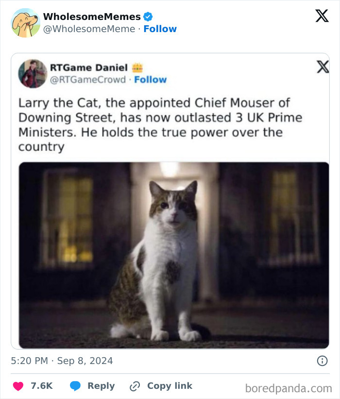 Funny-Wholesome-Memes