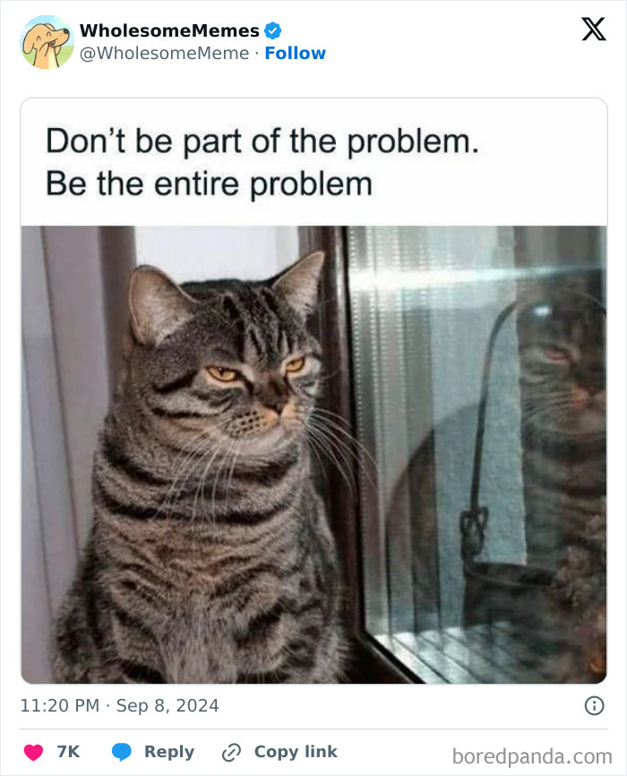 Funny-Wholesome-Memes