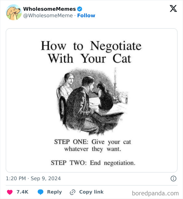 Funny-Wholesome-Memes