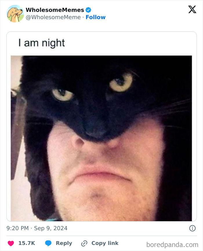 Funny-Wholesome-Memes