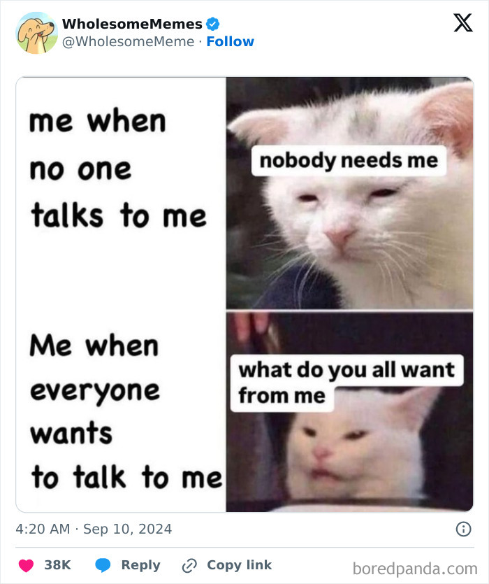 Funny-Wholesome-Memes