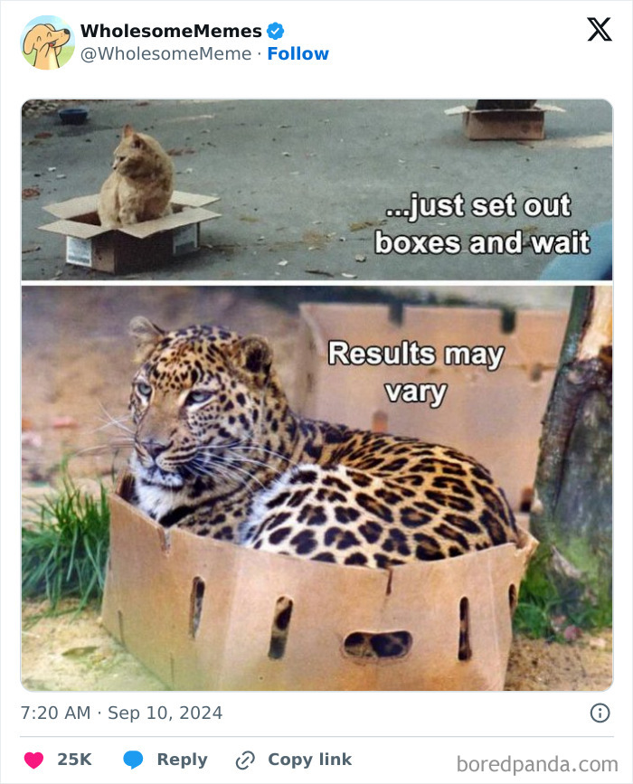 Funny-Wholesome-Memes