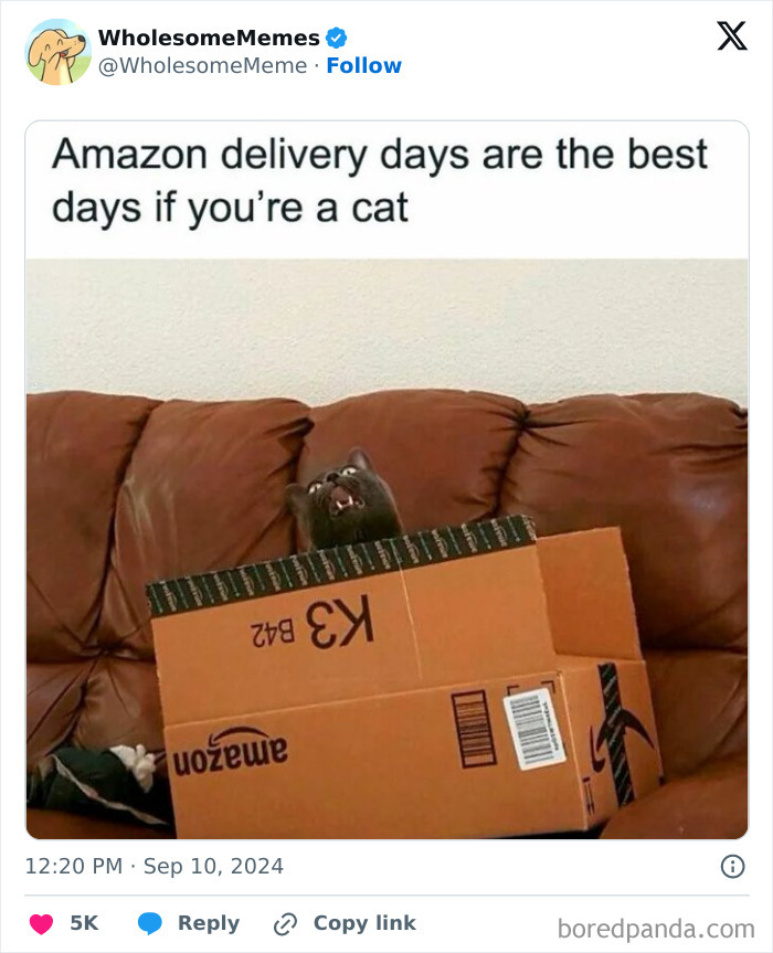 Funny-Wholesome-Memes