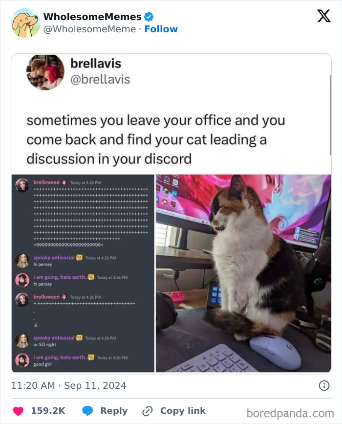 Funny-Wholesome-Memes