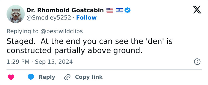 Man Enters Bear Den, Films Terrifying Face-To-Face Encounter When It Comes Home