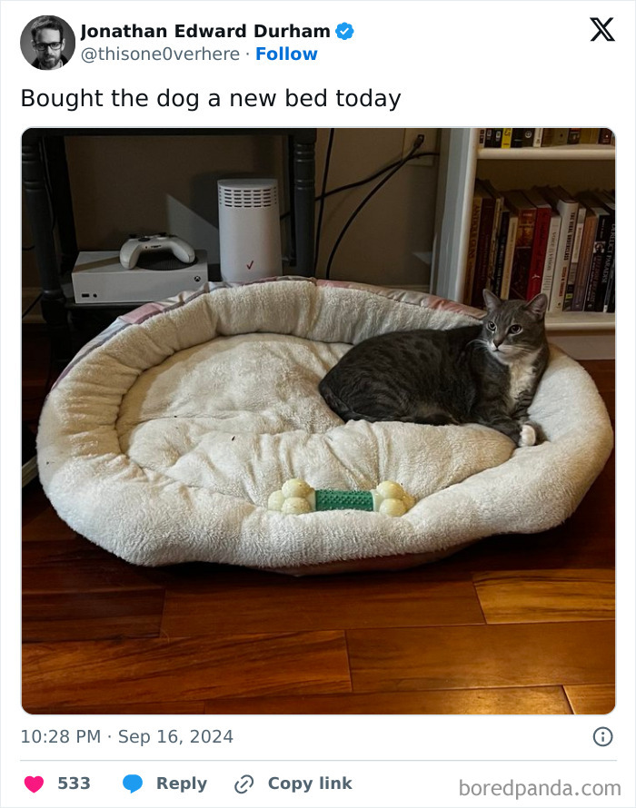 Funniest-September-Tweets-Pics