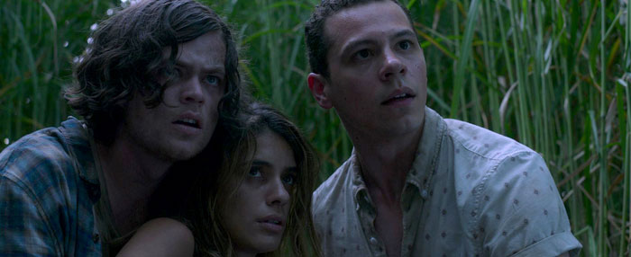 A scene from the movie In the Tall Grass featuring three characters crouching together in a dense, overgrown field of tall grass. They all have tense, fearful expressions, looking in the same direction as if something is approaching. The dim lighting and confined environment heighten the feeling of suspense and danger in the scene. A scene from the movie In the Tall Grass featuring three characters crouching together in a dense, overgrown field of tall grass. They all have tense, fearful expressions, looking in the same direction as if something is approaching. The dim lighting and confined environment heighten the feeling of suspense and danger in the scene.