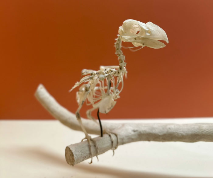 30 Fun Ice Breaker Facts People Use For A Lasting Impression